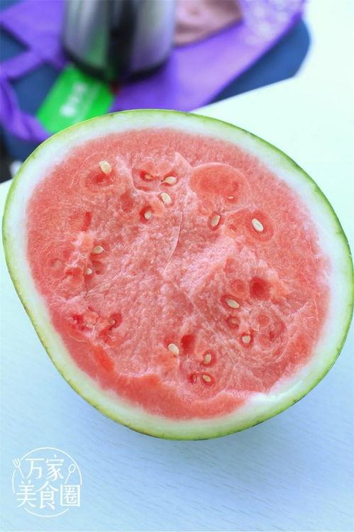 吃瓜网颜色,揭秘网络世界多彩生活