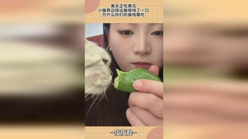 隔壁吃瓜网,娱乐圈最新热点事件大追踪