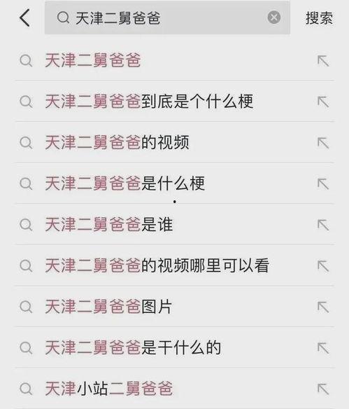 吃瓜网官网二舅爸爸,吃瓜网独家揭秘，带你走进神秘家庭生活