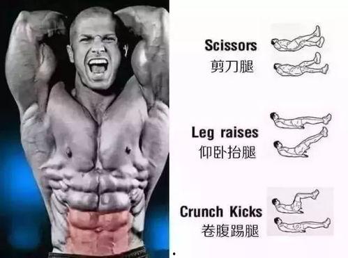 吃瓜网没腹肌的张张,吃瓜网上的“无腹肌奇才”