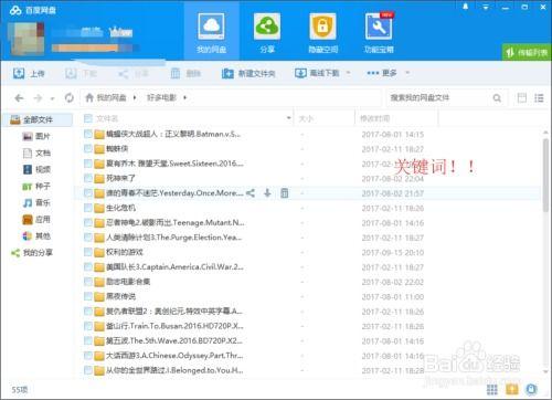 吃瓜文件网盘百度网盘,功能对比与使用指南