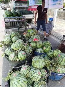 德阳网红吃瓜事件,揭秘网络舆论背后的真相与争议