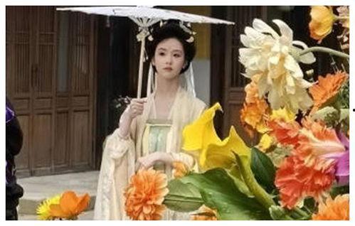 吃瓜网古装,穿越时空的华丽盛宴