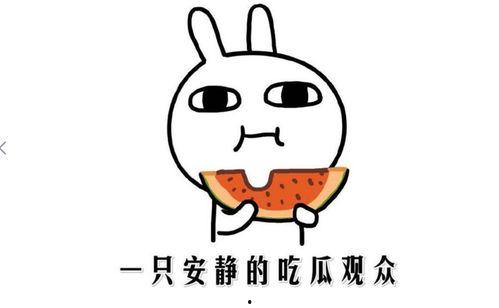 吃瓜抖音网,热门话题背后的真相与趣味