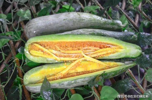 网红赵一菲吃瓜网,揭秘网红圈幕后故事