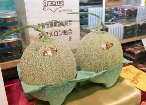 网红吃蜜瓜棒棒糖图片,甜蜜滋味引发网友热议